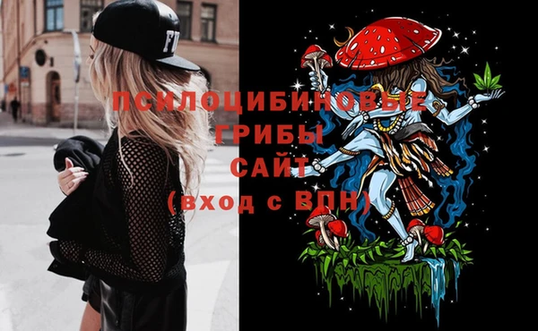 сатива Тихорецк